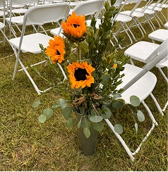 Wedding Photographer