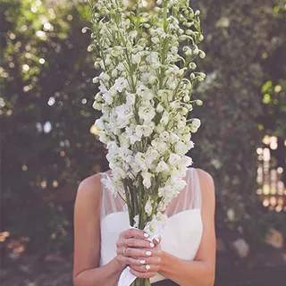 Catherine & Hardi Wedding